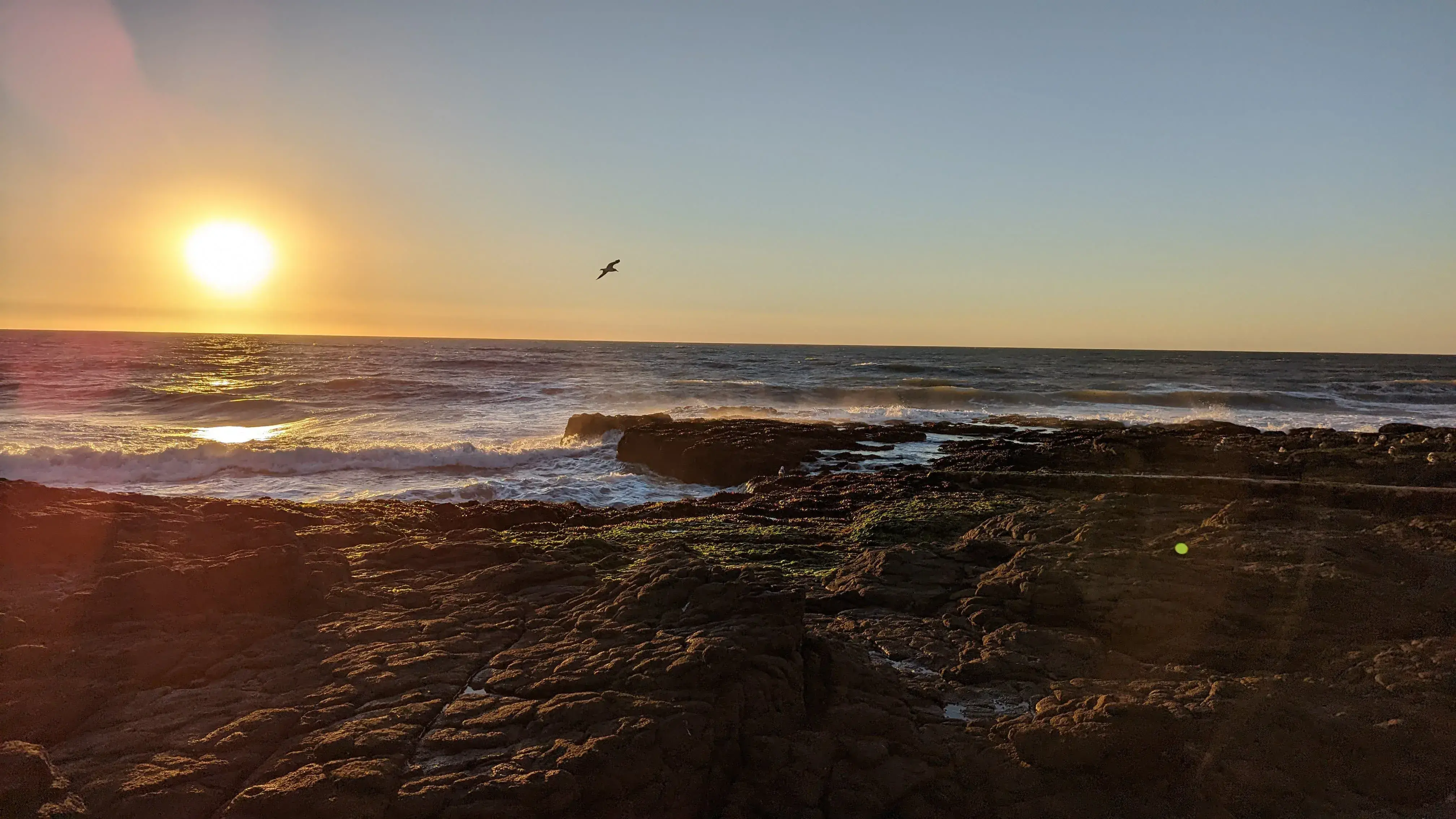 View from the windows of the main building of the Santa Maria clinic: ocean, rocks, sunset, a seagull in the sky
