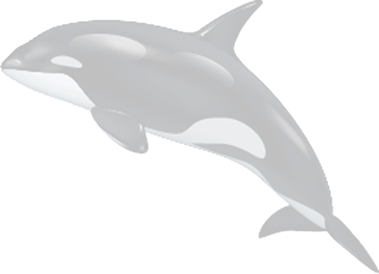 Orca