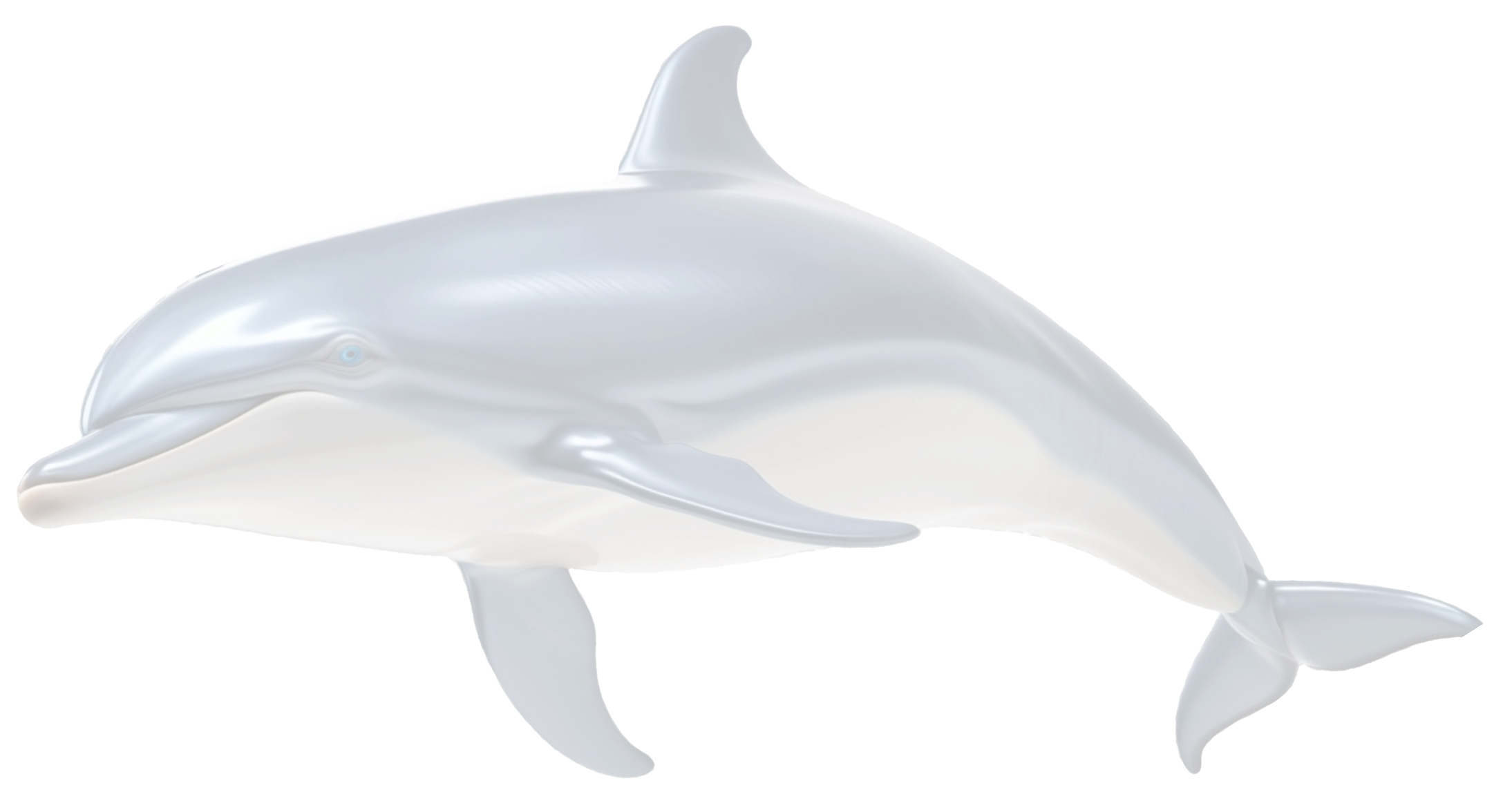 dolphin