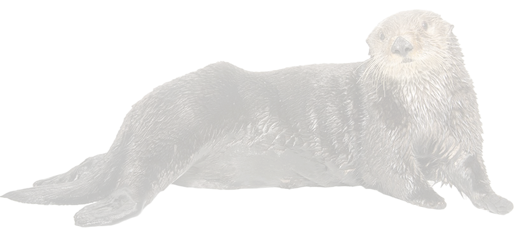 seal